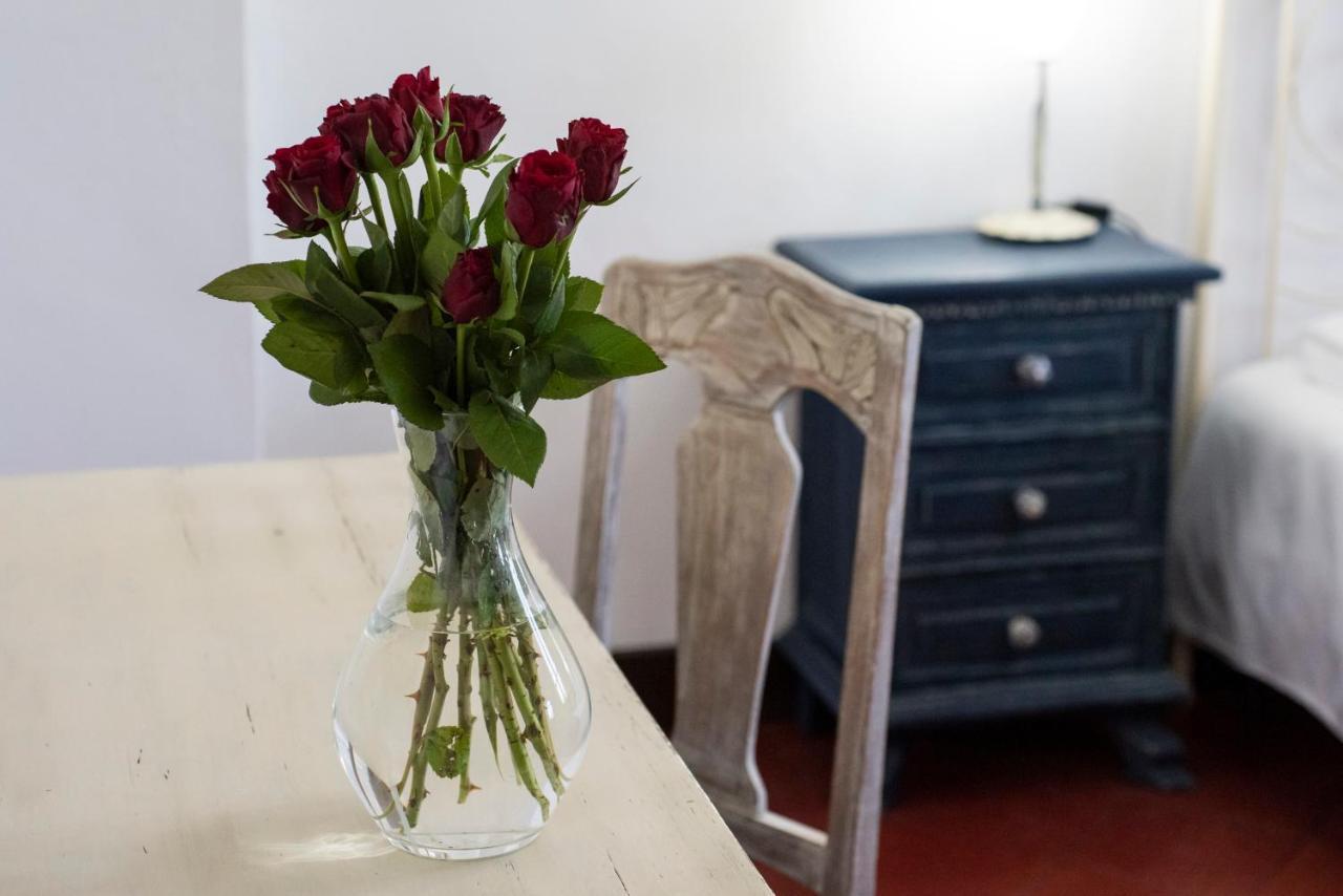 Bed and Breakfast Fattoria Pian Di Rocca Castiglione della Pescaia Zewnętrze zdjęcie