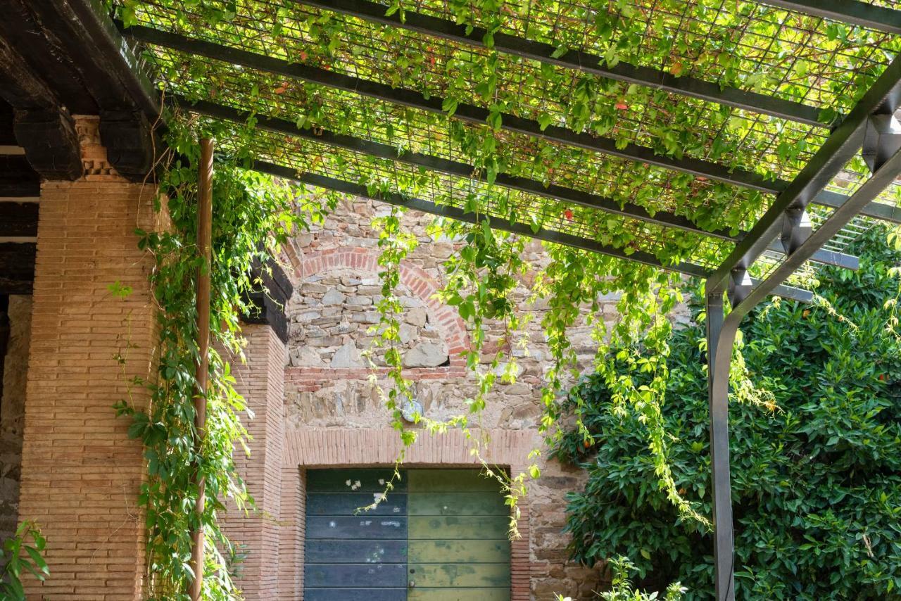 Bed and Breakfast Fattoria Pian Di Rocca Castiglione della Pescaia Zewnętrze zdjęcie